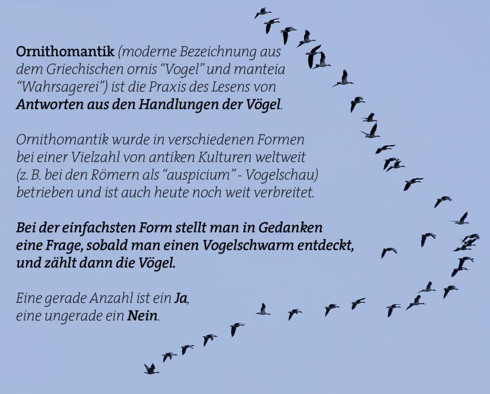 Ornithomantik - Wahrsagen mit Vögeln