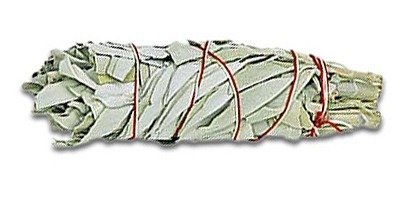 Shamanic White Sage Smudge (mittelgroß) Salbei Indianersalbei