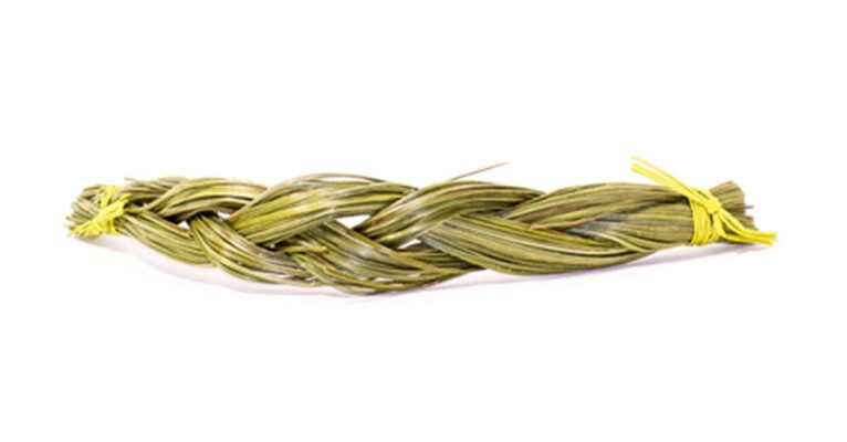 Shamanic Sweet Vanilla Grass Braid (Süßgras)
