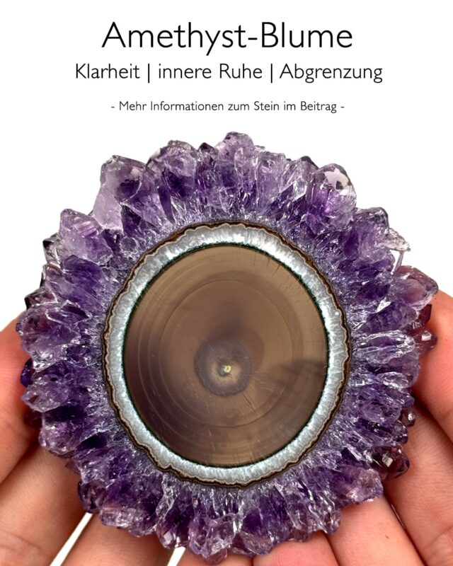Amethyst-Blumen - Wirkung