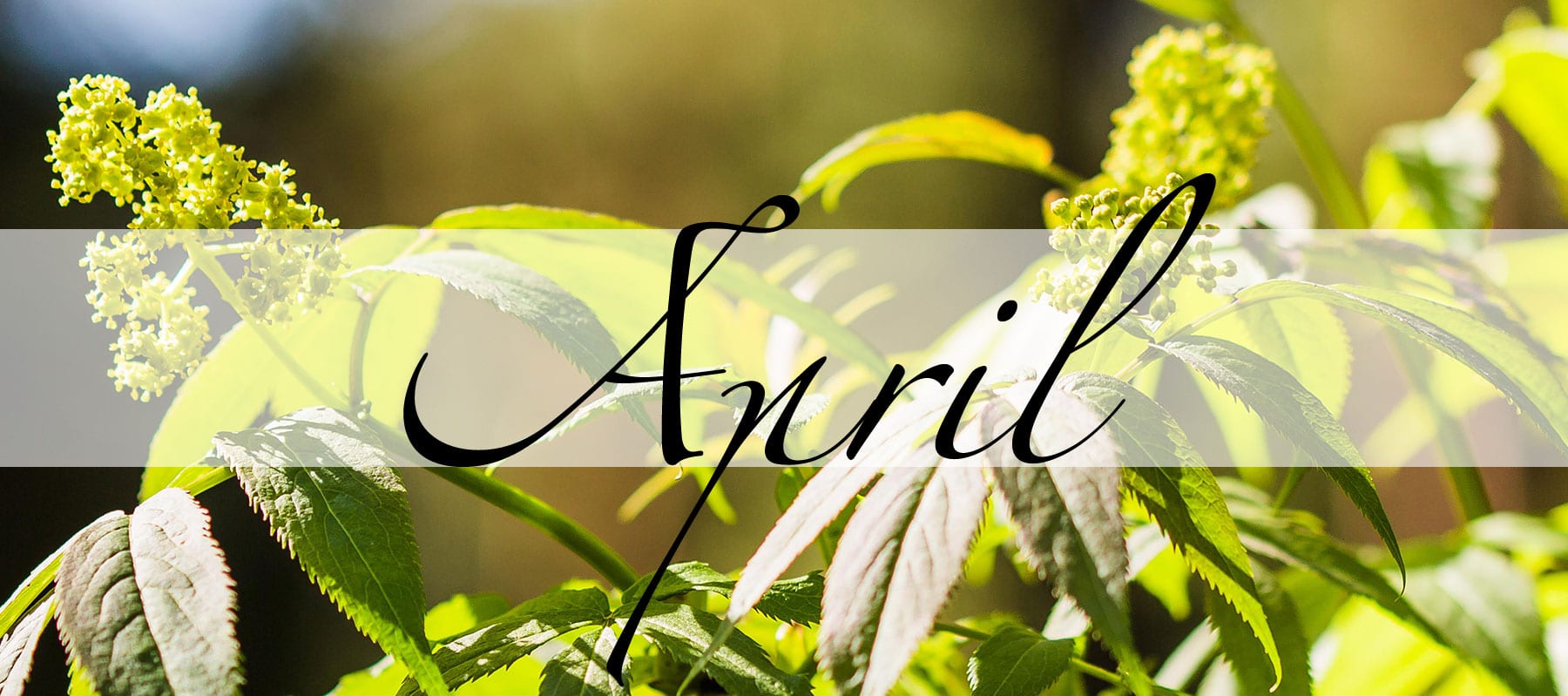 Der April in der Magie - Magie der Monate - oben Der April in der Magie - Magie der Monate - oben