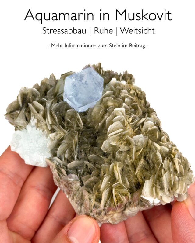 Aquamarin in Muskovit
