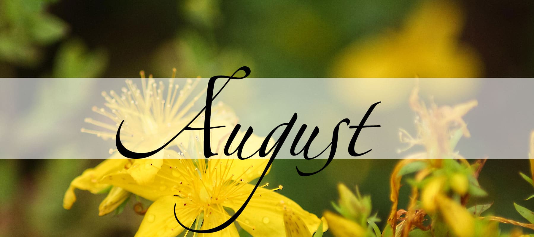 Der August in der Magie - Magie der Monate - oben