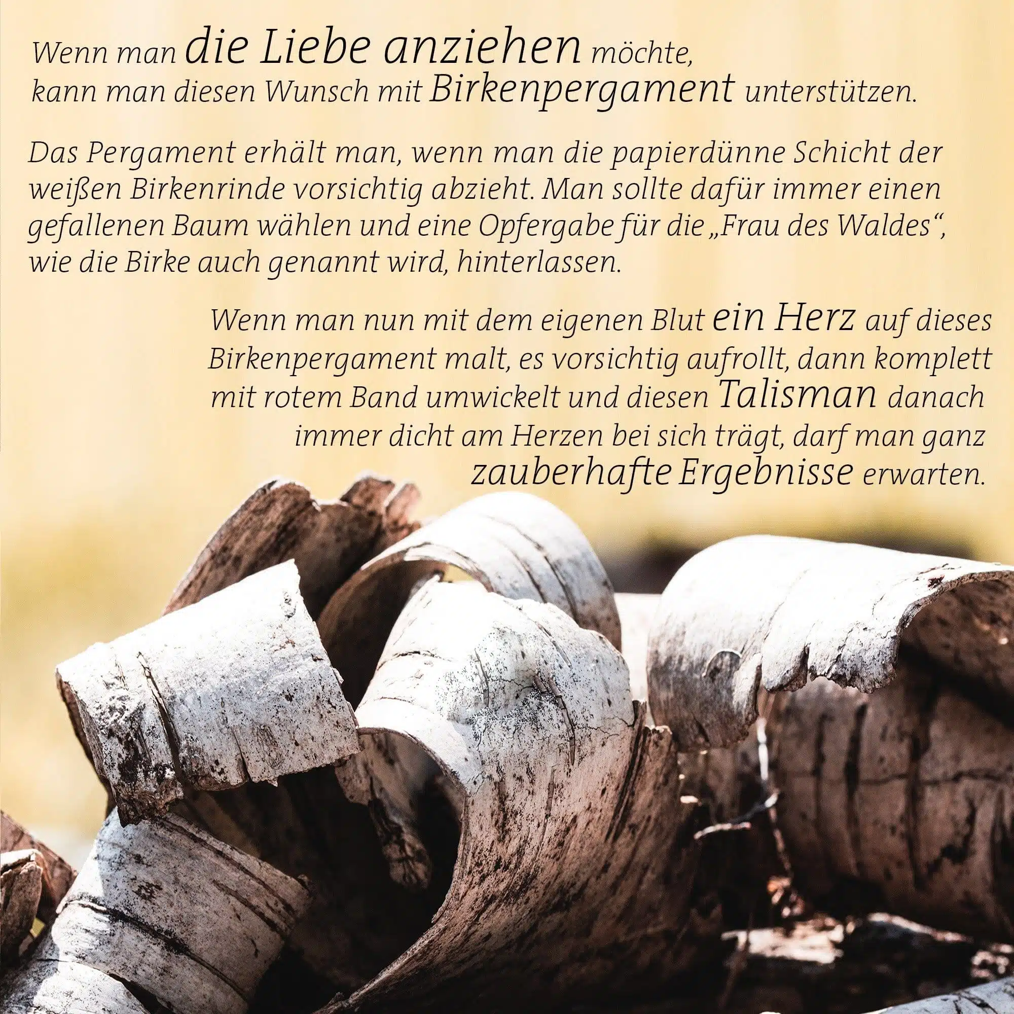 Wenn man die Liebe anziehen möchte, kann man diesen Wunsch mit Birkenpergament unterstützen.