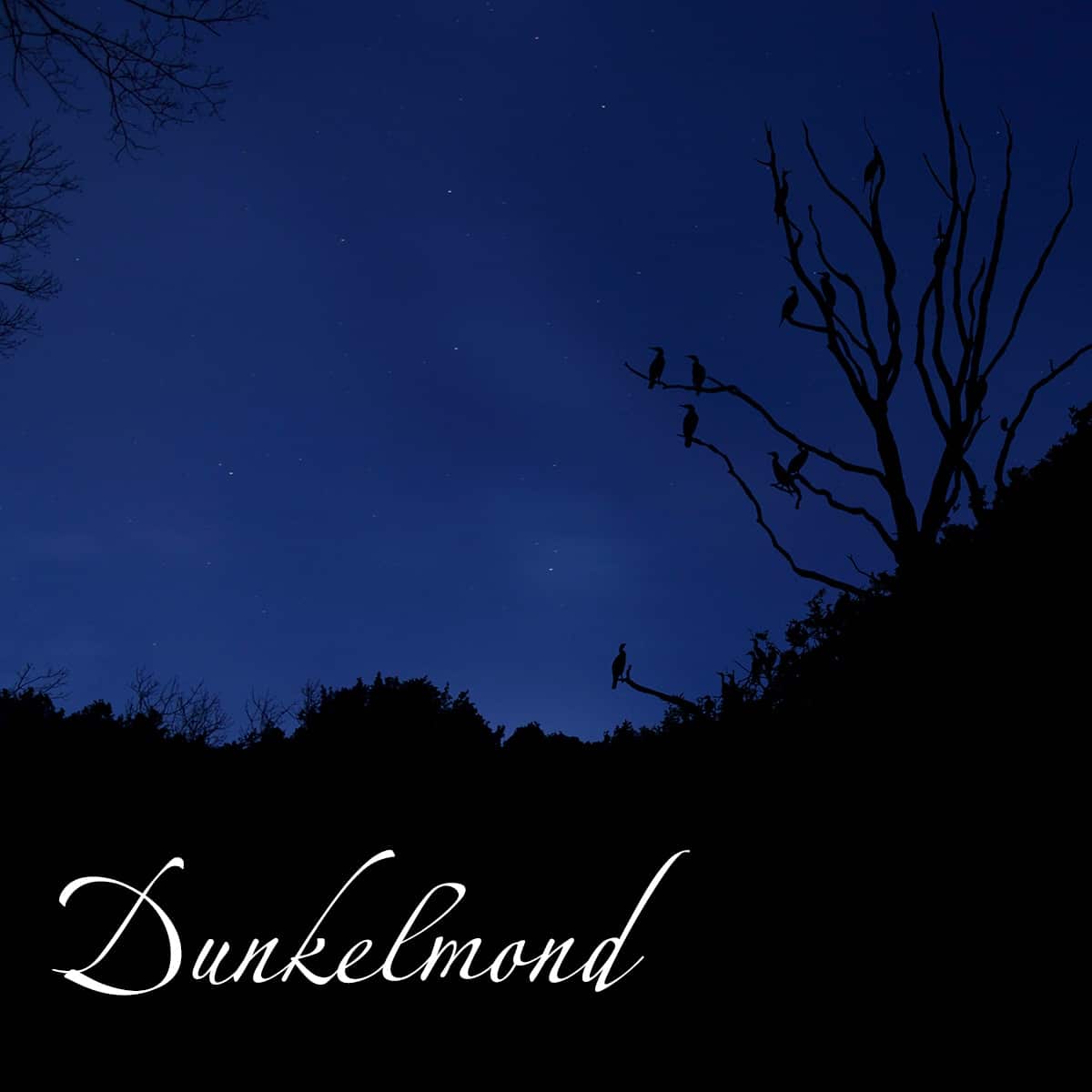 Der Dunkelmond im August