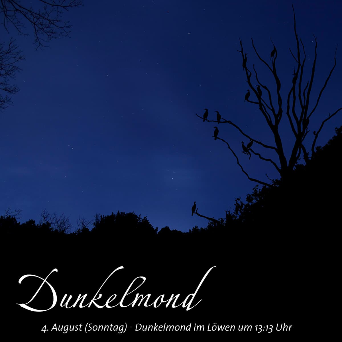 Dunkelmond im August 2024 Dunkelmond im August 2024