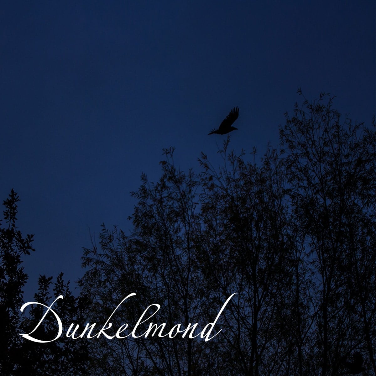 Der Dunkelmond im November