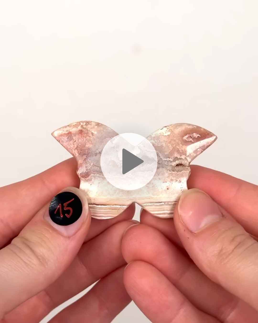 Einzelstueck-Crazy-Lace-Schemtterling-15