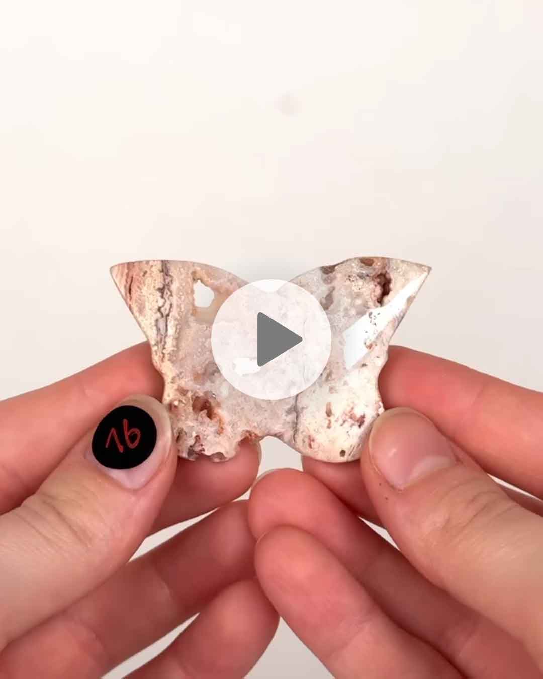 Einzelstueck-Crazy-Lace-Schemtterling-16