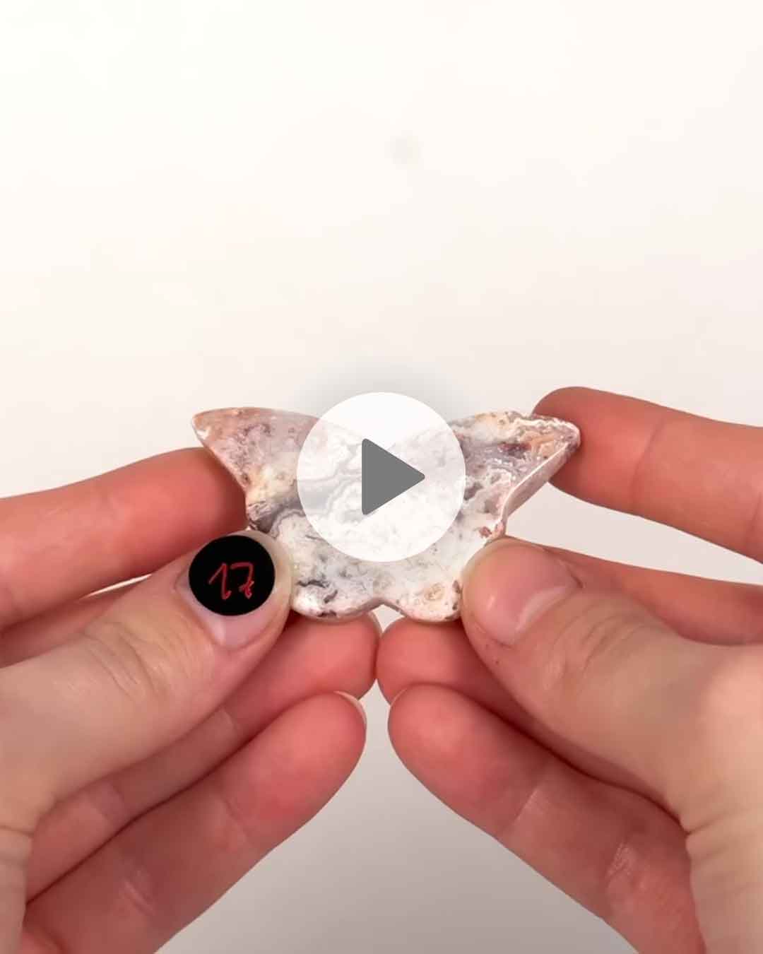 Einzelstueck-Crazy-Lace-Schemtterling-17