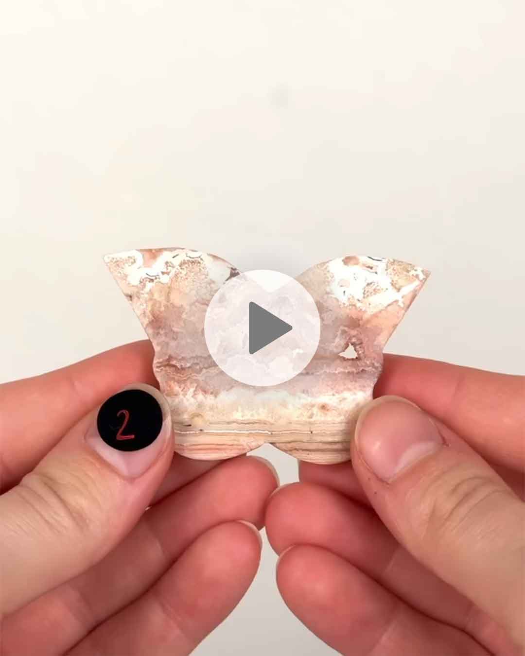 Einzelstueck-Crazy-Lace-Schemtterling-2