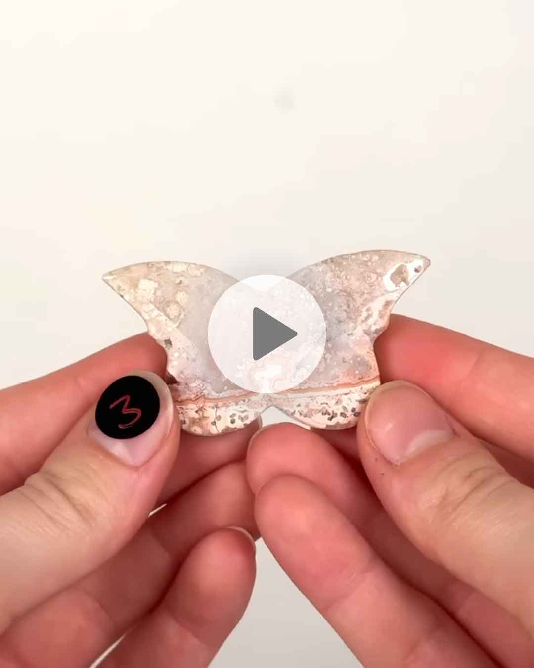 Einzelstueck-Crazy-Lace-Schemtterling-3