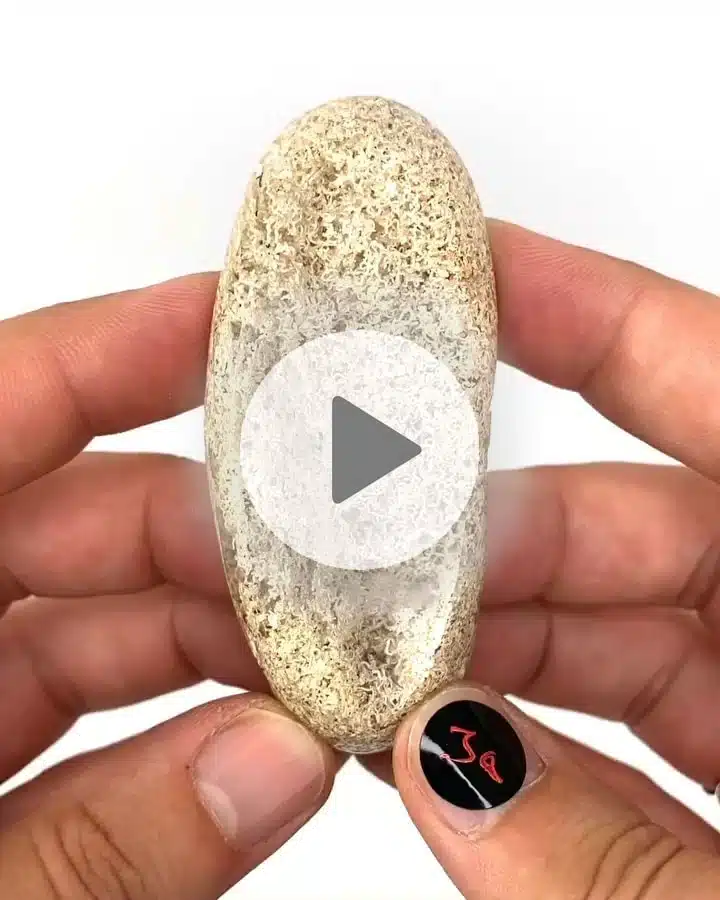 Einzelstueck-Garden-Quartz-Lodolith-A3