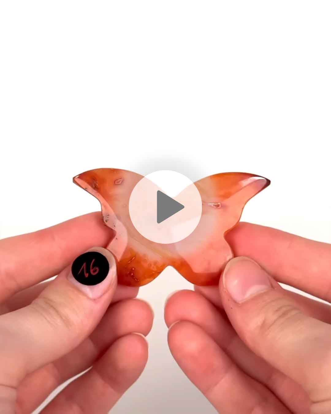 Einzelstueck-Karneol-Schmetterling-16