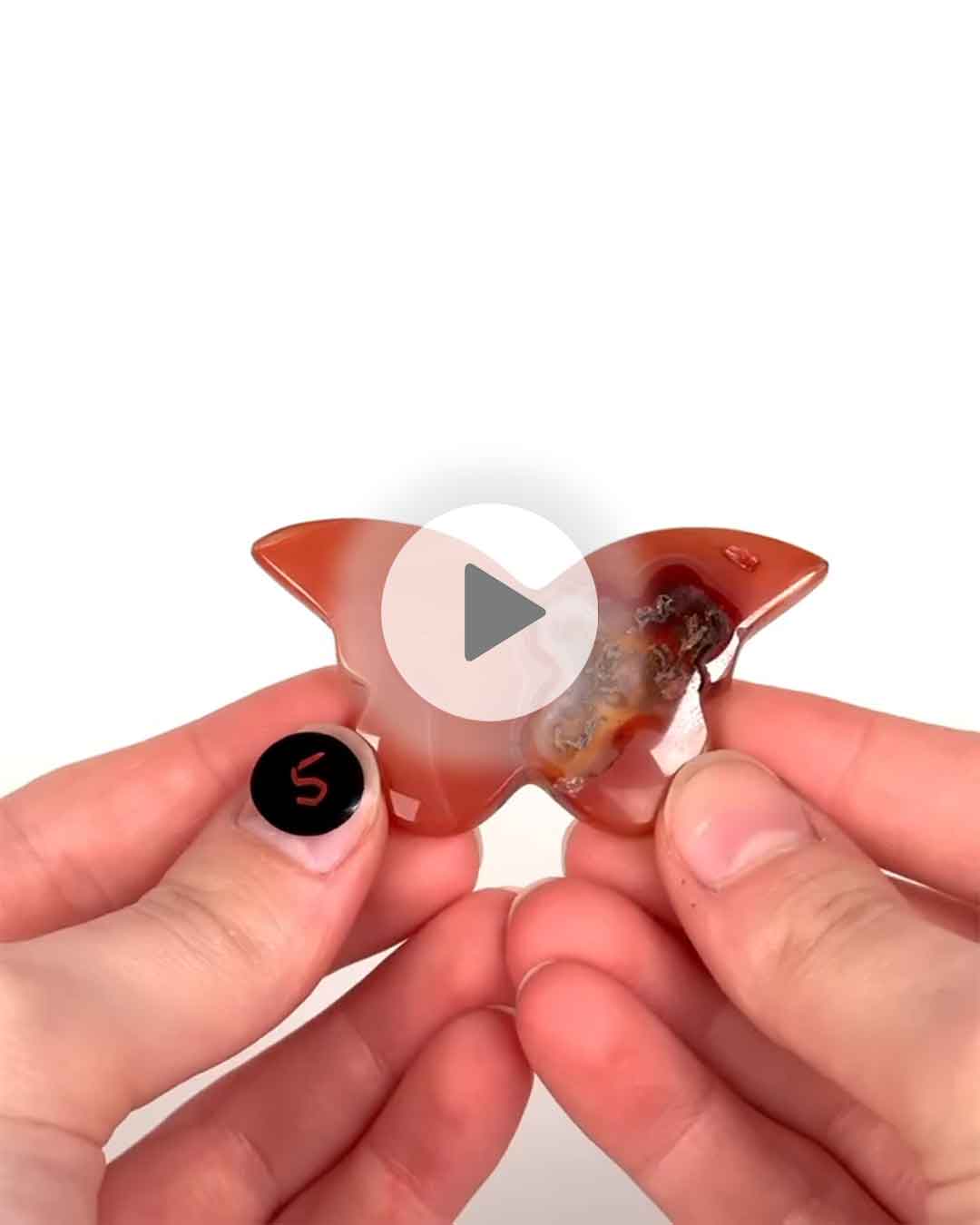 Einzelstueck-Karneol-Schmetterling-5