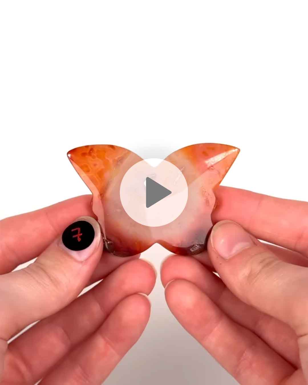 Einzelstueck-Karneol-Schmetterling-7