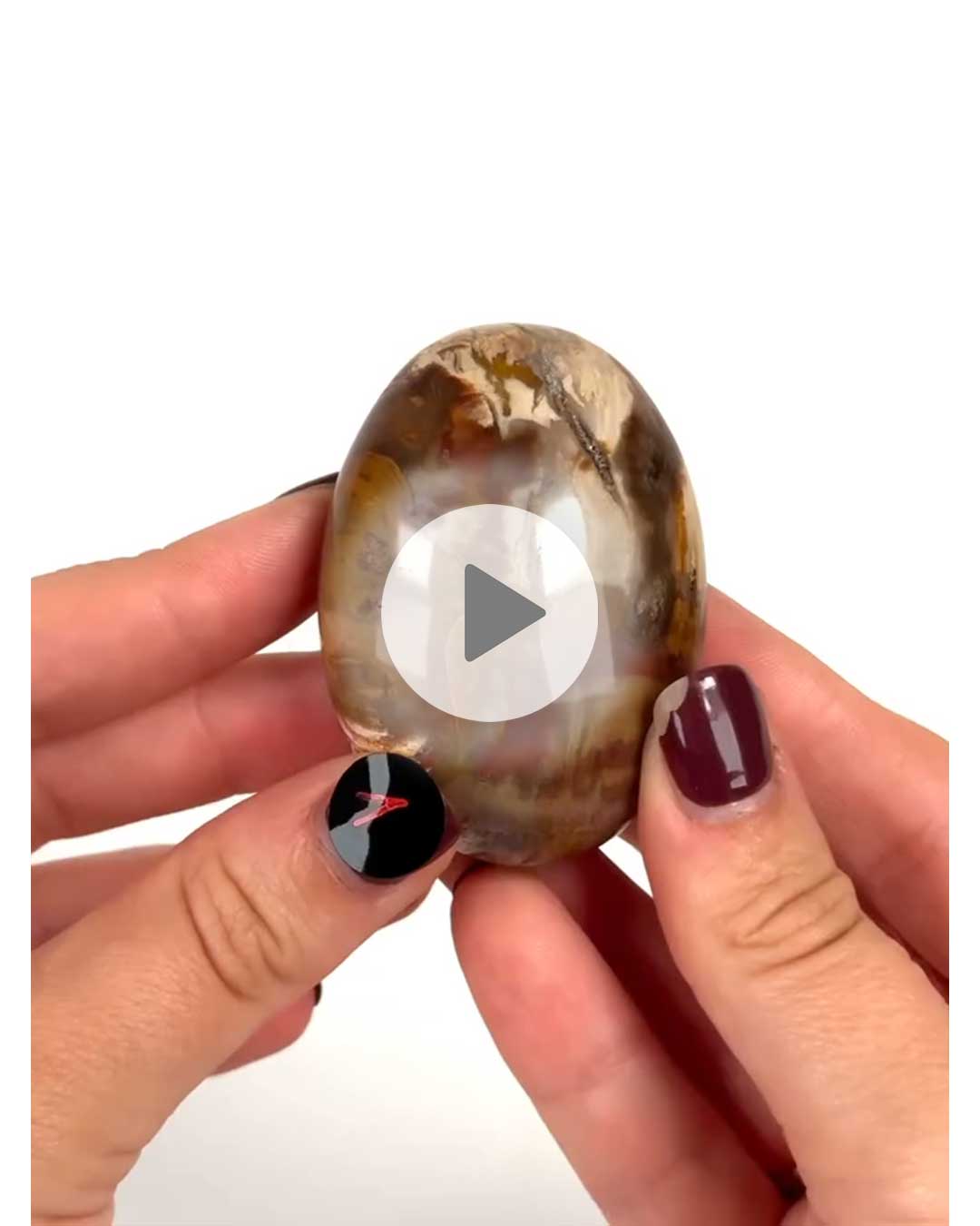 Einzelstueck-Versteinertes-Holz-Handschmeichler-1