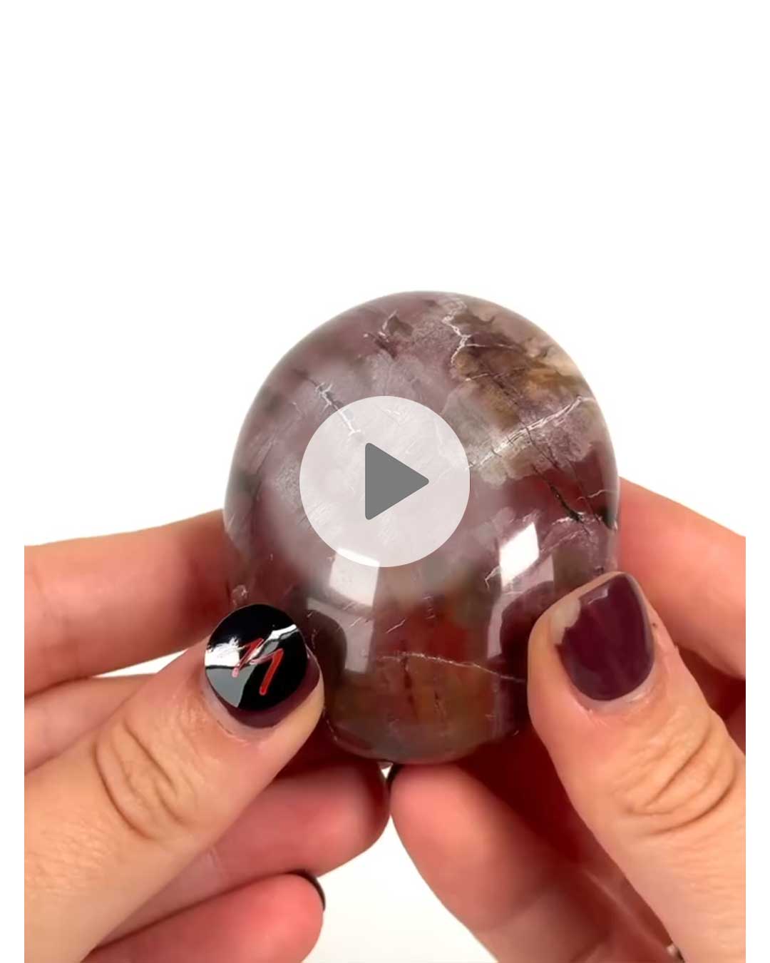 Einzelstueck-Versteinertes-Holz-Handschmeichler-11