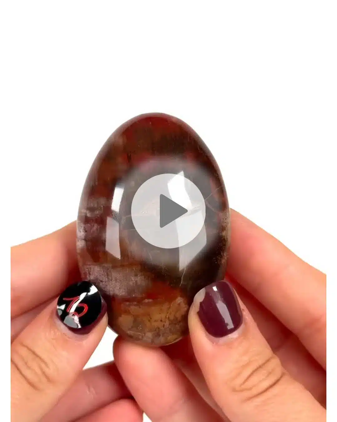 Einzelstueck-Versteinertes-Holz-Handschmeichler-12