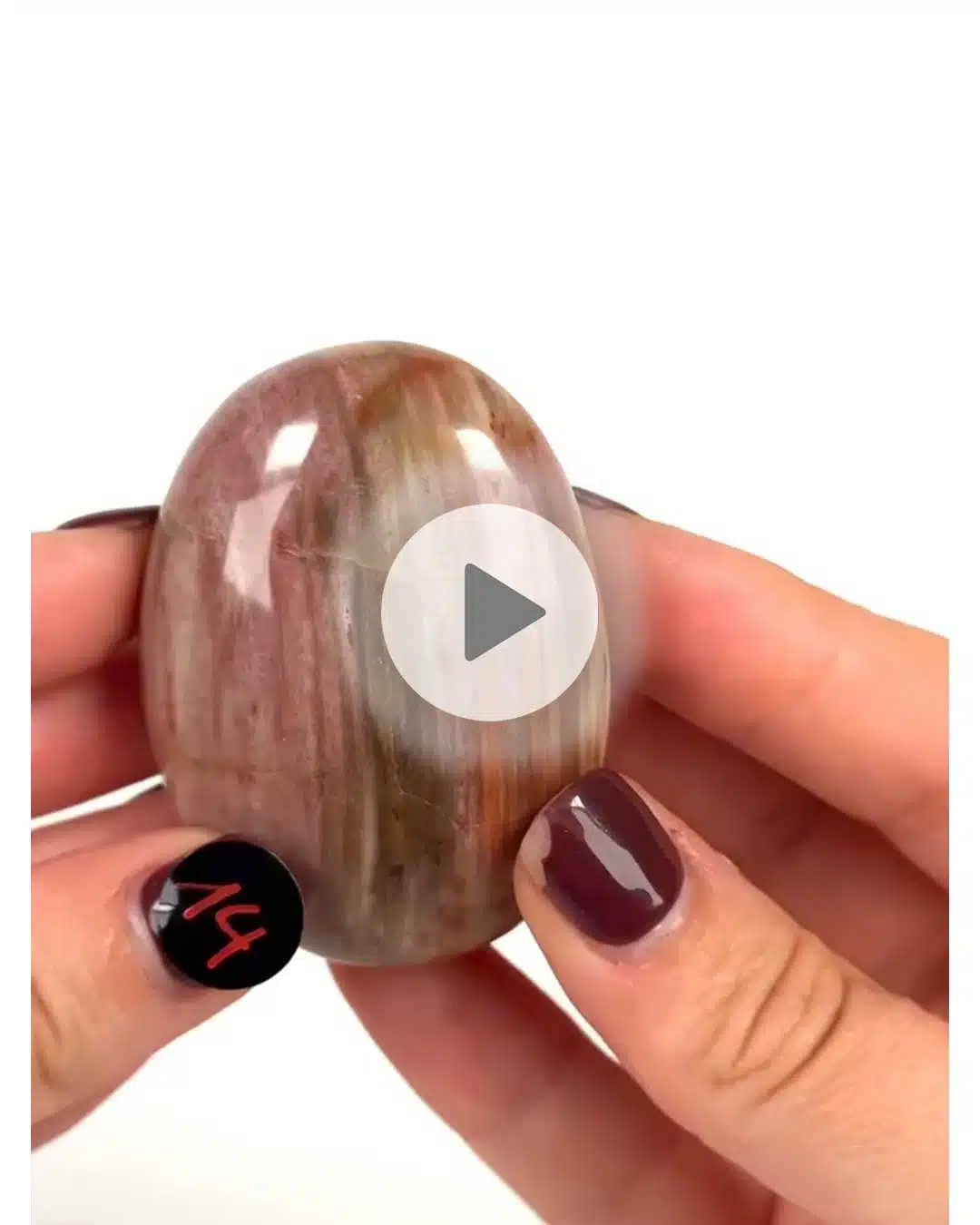 Einzelstueck-Versteinertes-Holz-Handschmeichler-14