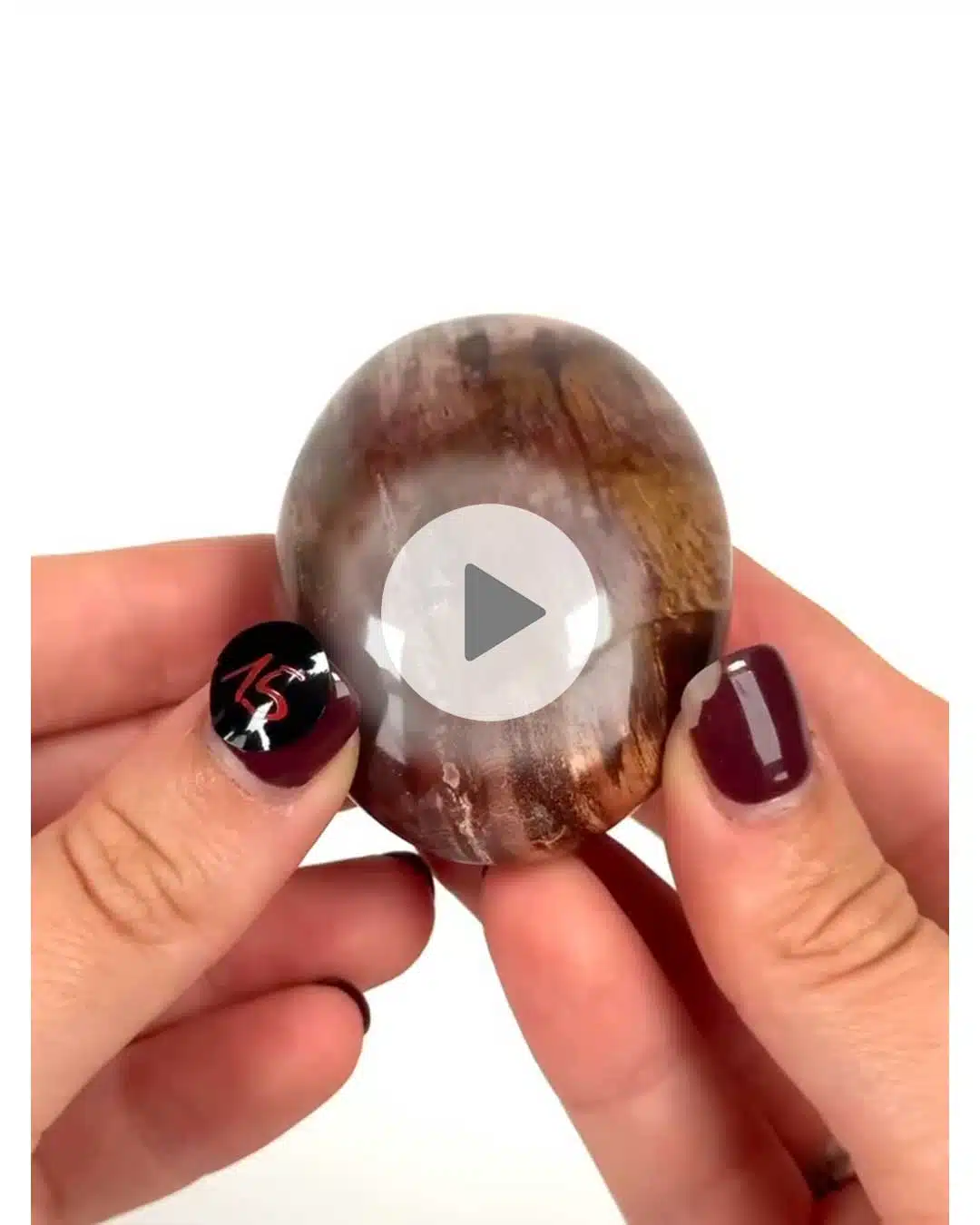 Einzelstueck-Versteinertes-Holz-Handschmeichler-15