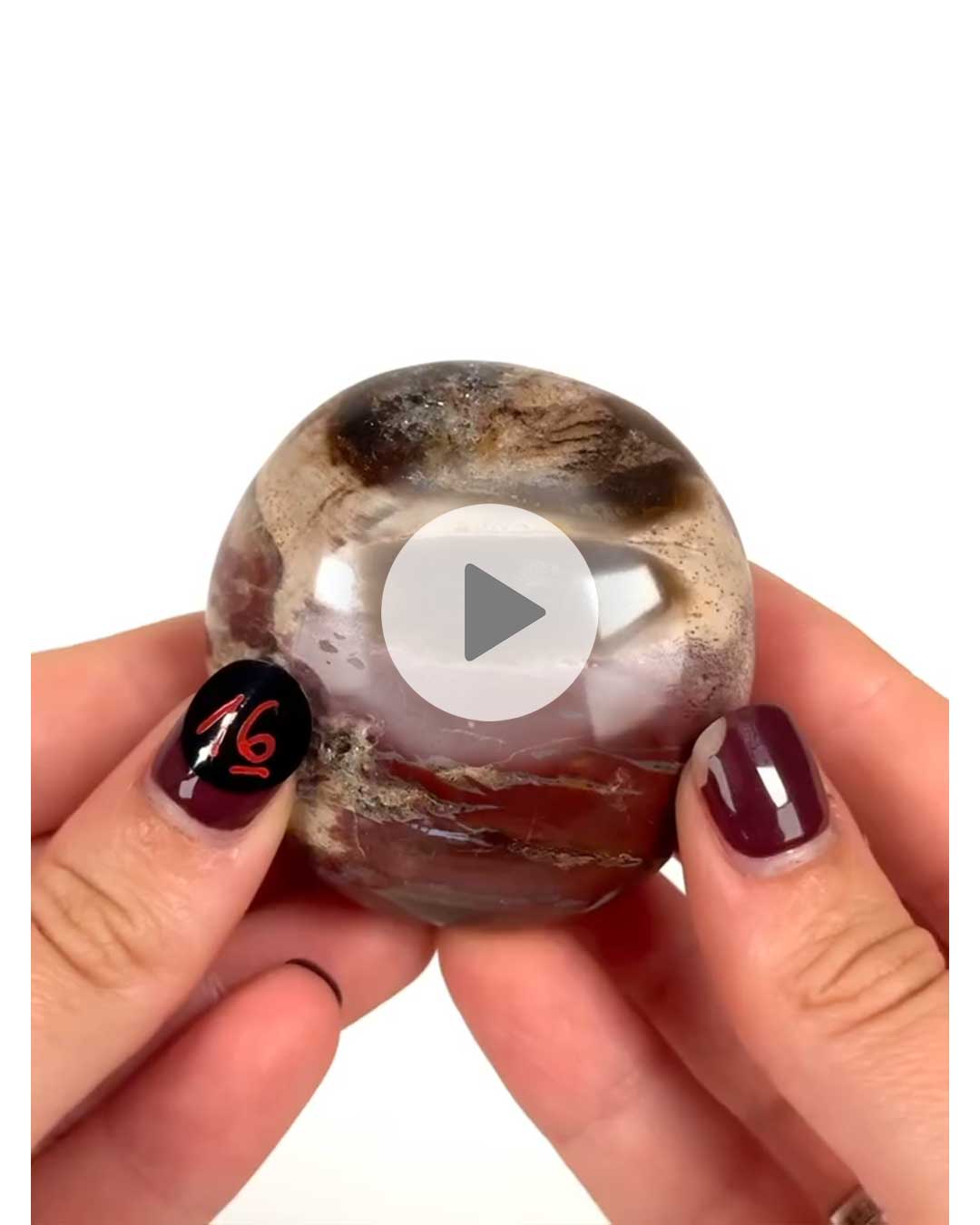 Einzelstueck-Versteinertes-Holz-Handschmeichler-16