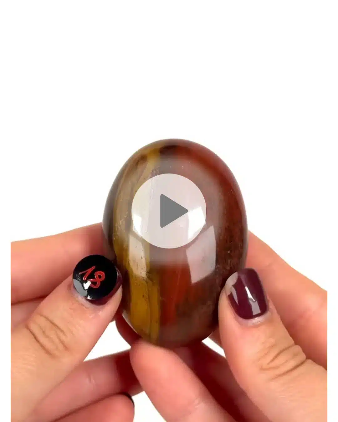 Einzelstueck-Versteinertes-Holz-Handschmeichler-18