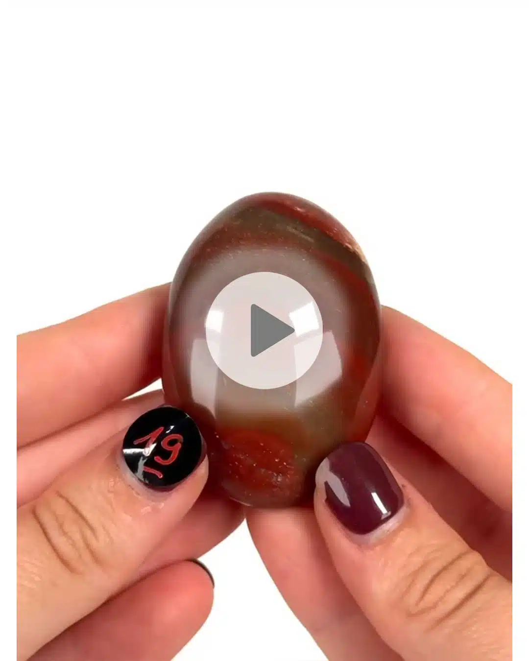 Einzelstueck-Versteinertes-Holz-Handschmeichler-19