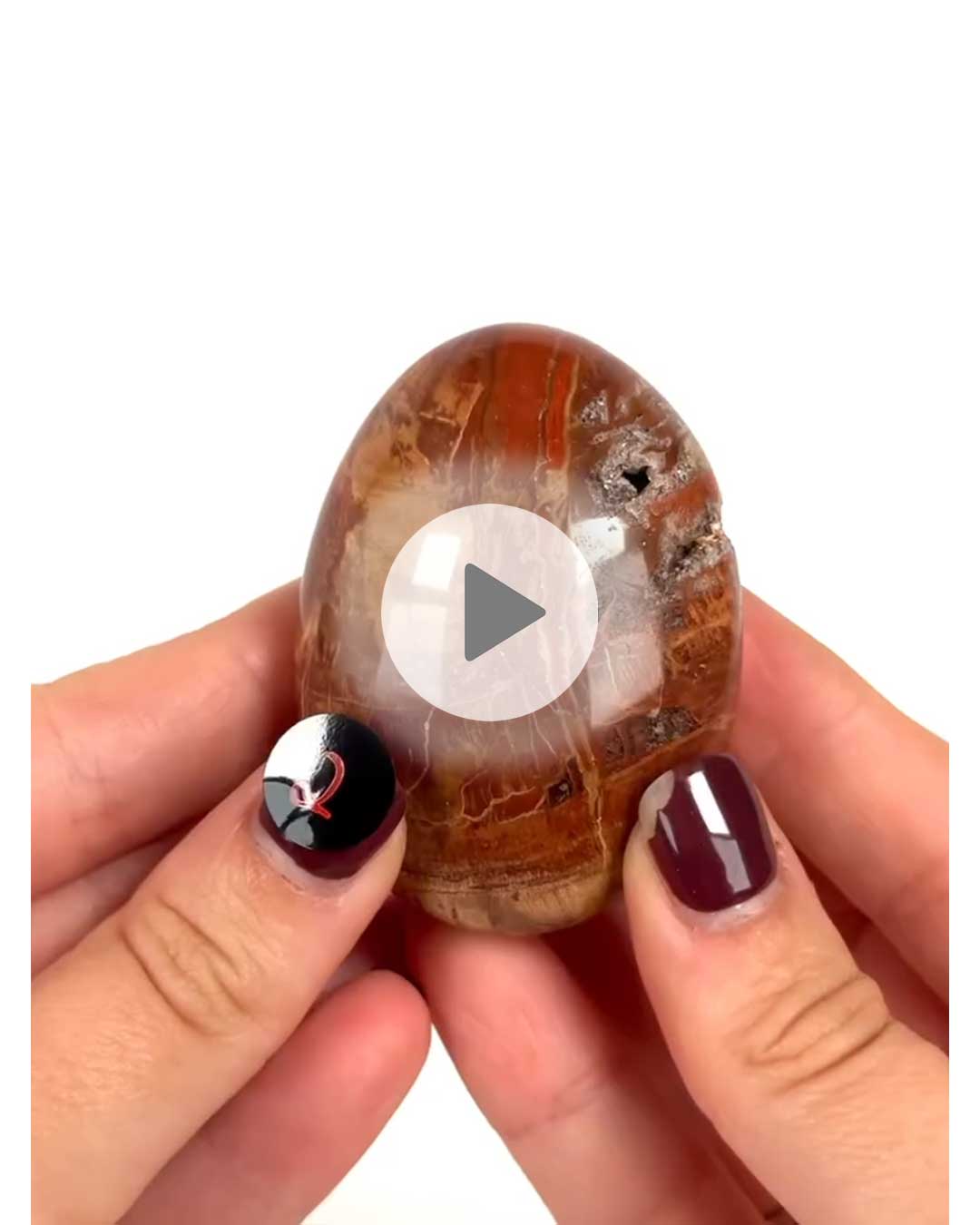 Einzelstueck-Versteinertes-Holz-Handschmeichler-2