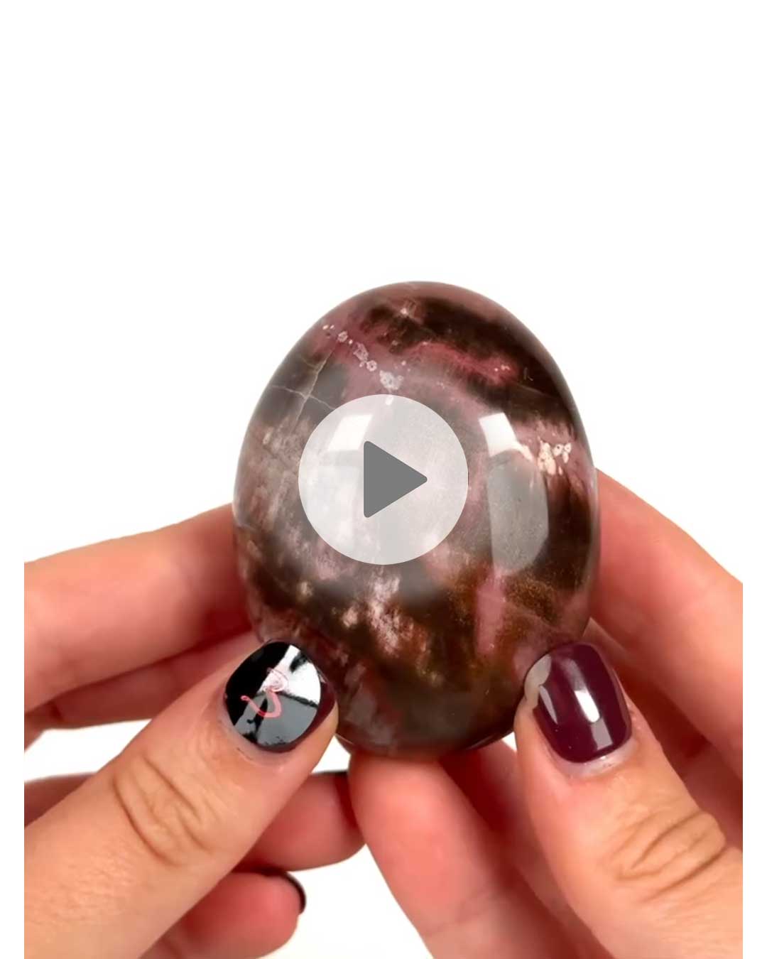 Einzelstueck-Versteinertes-Holz-Handschmeichler-3