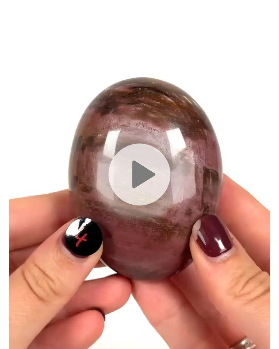 Einzelstueck-Versteinertes-Holz-Handschmeichler-4