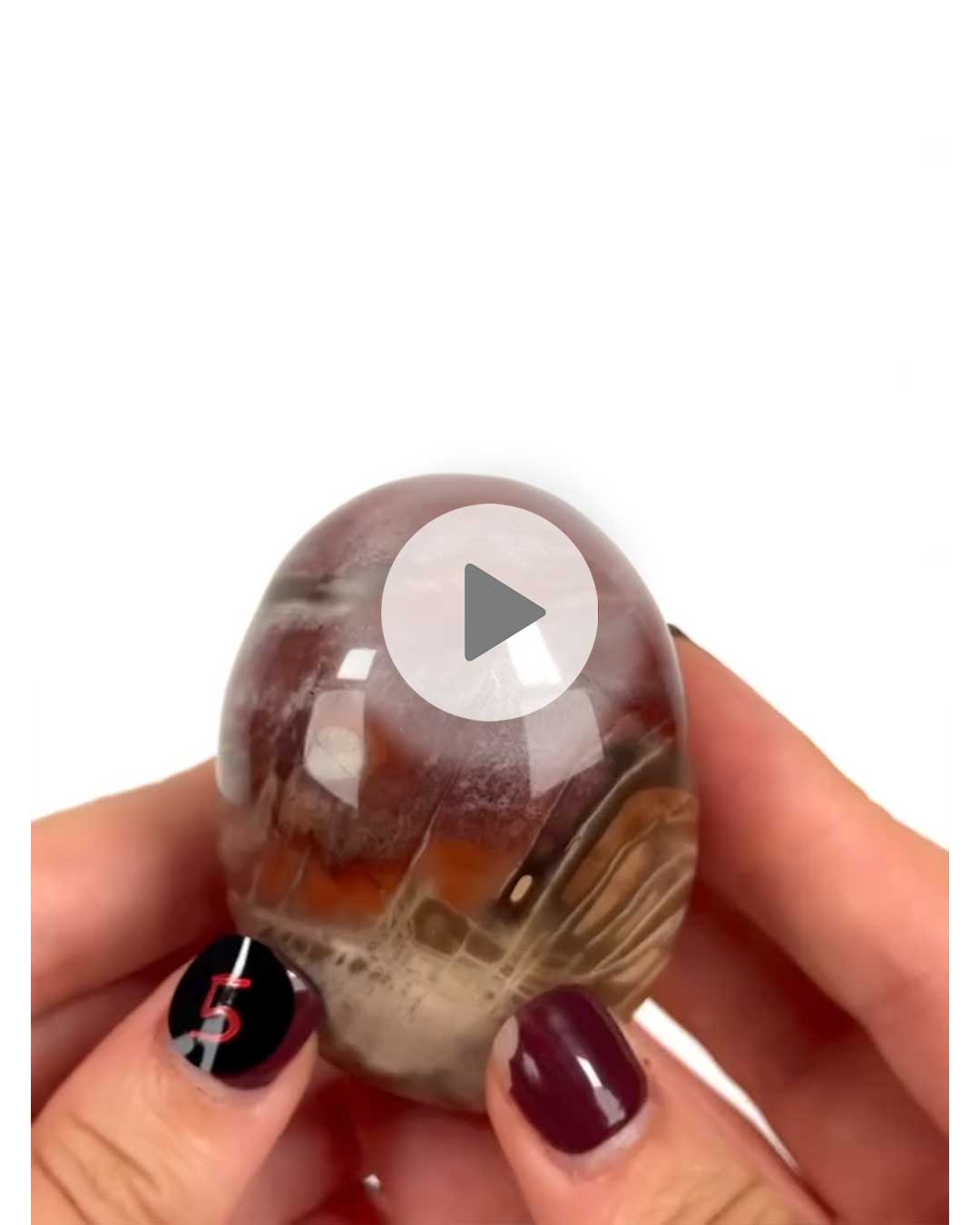 Einzelstueck-Versteinertes-Holz-Handschmeichler-5