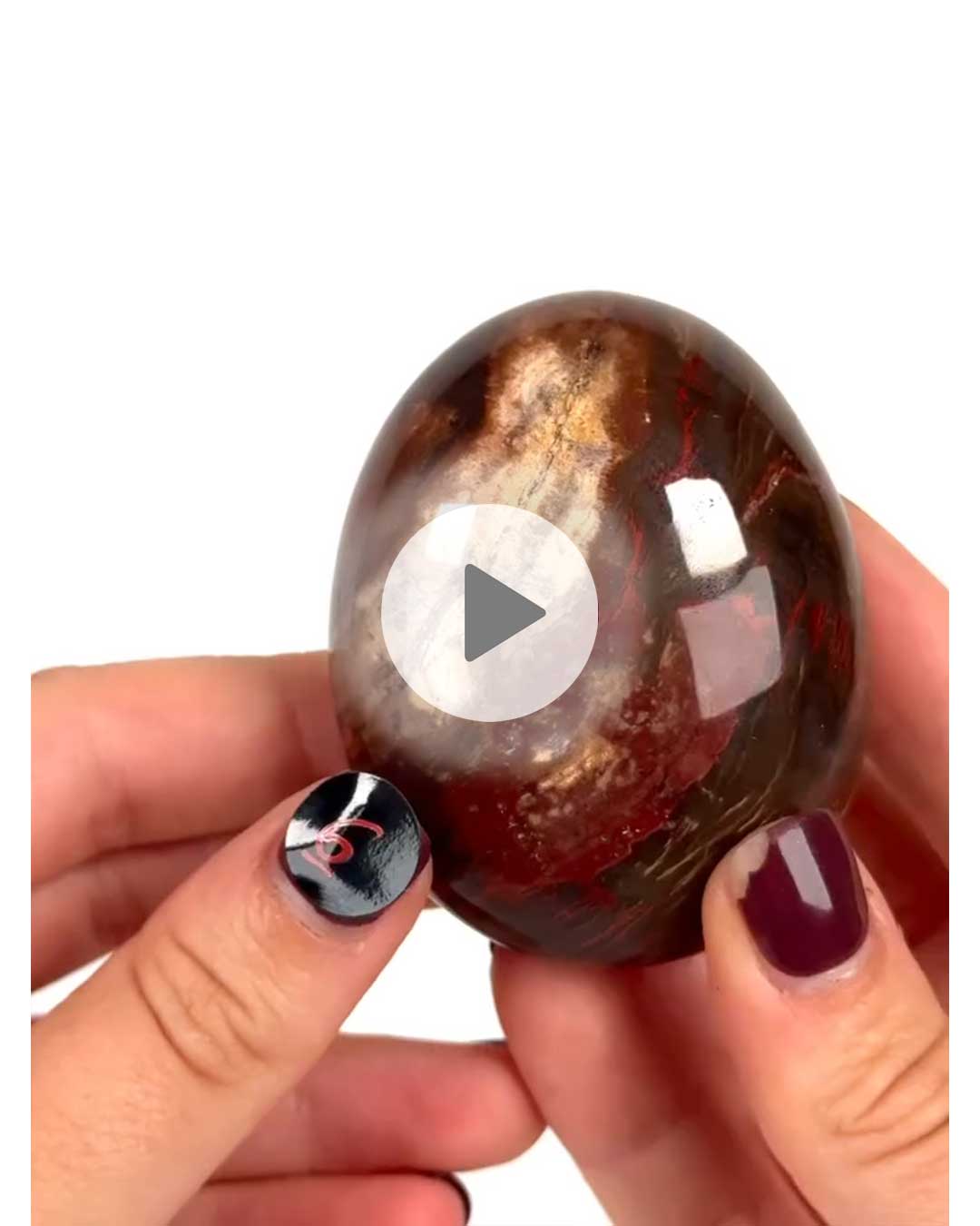 Einzelstueck-Versteinertes-Holz-Handschmeichler-6