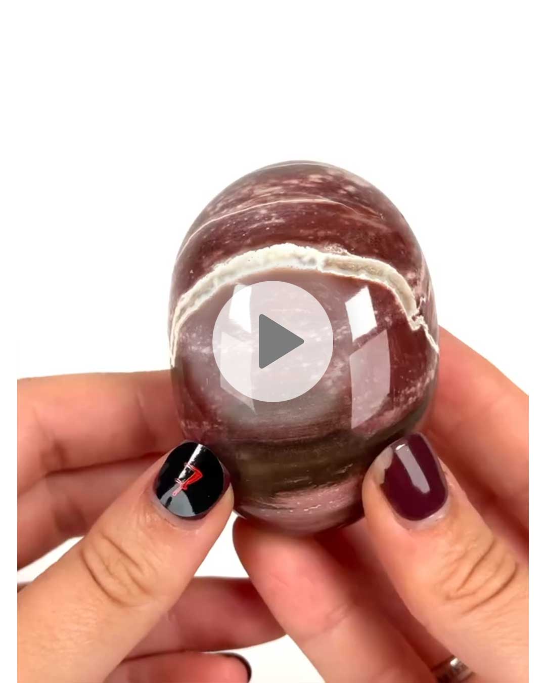 Einzelstueck-Versteinertes-Holz-Handschmeichler-7