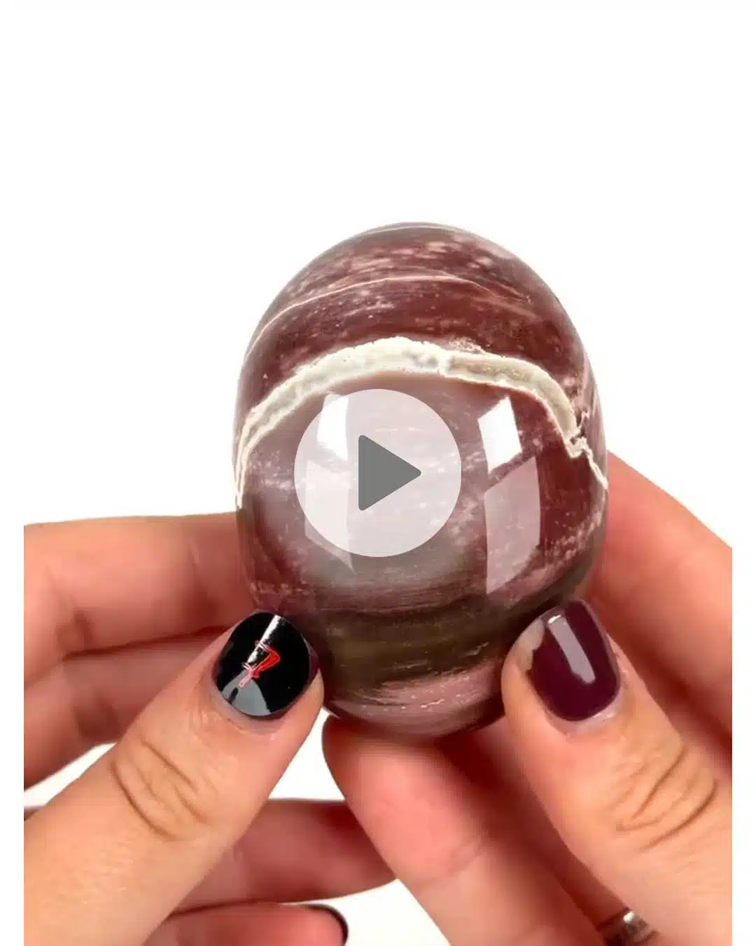 Einzelstueck-Versteinertes-Holz-Handschmeichler-7