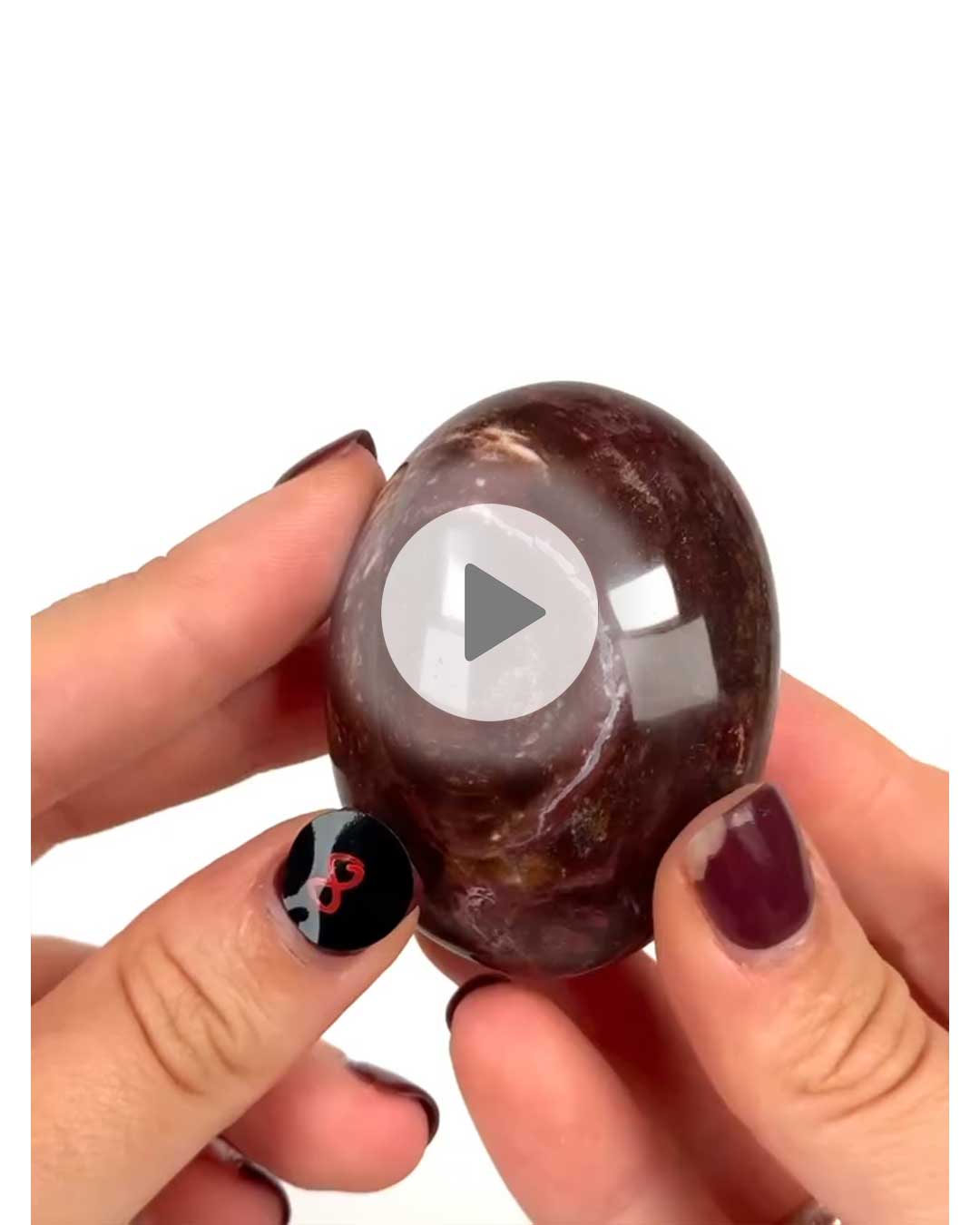 Einzelstueck-Versteinertes-Holz-Handschmeichler-8