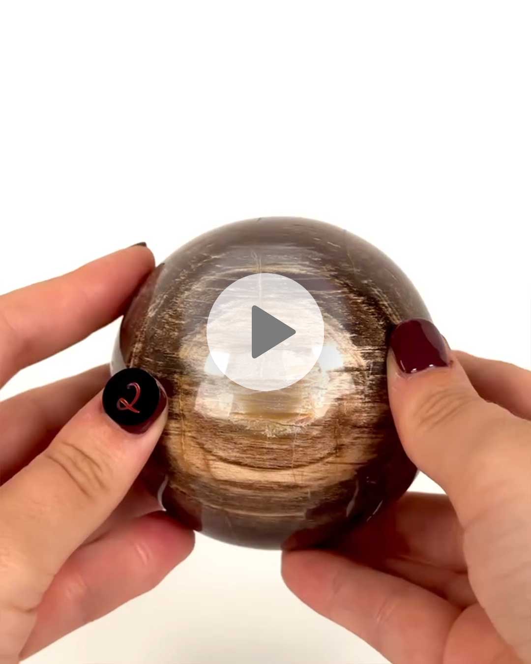 Einzelstueck-Versteinertes-Holz-Kugel-2
