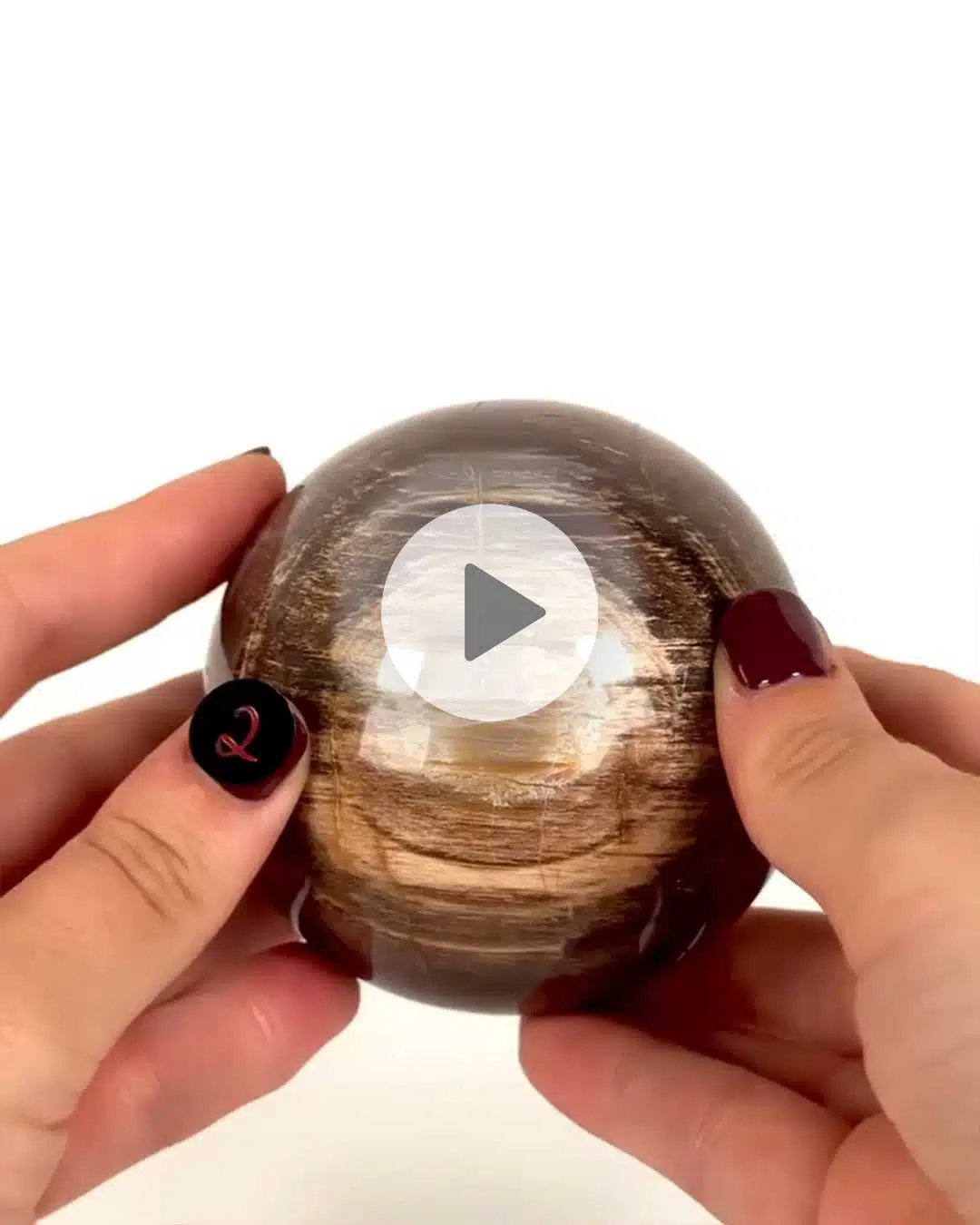Einzelstueck-Versteinertes-Holz-Kugel-2