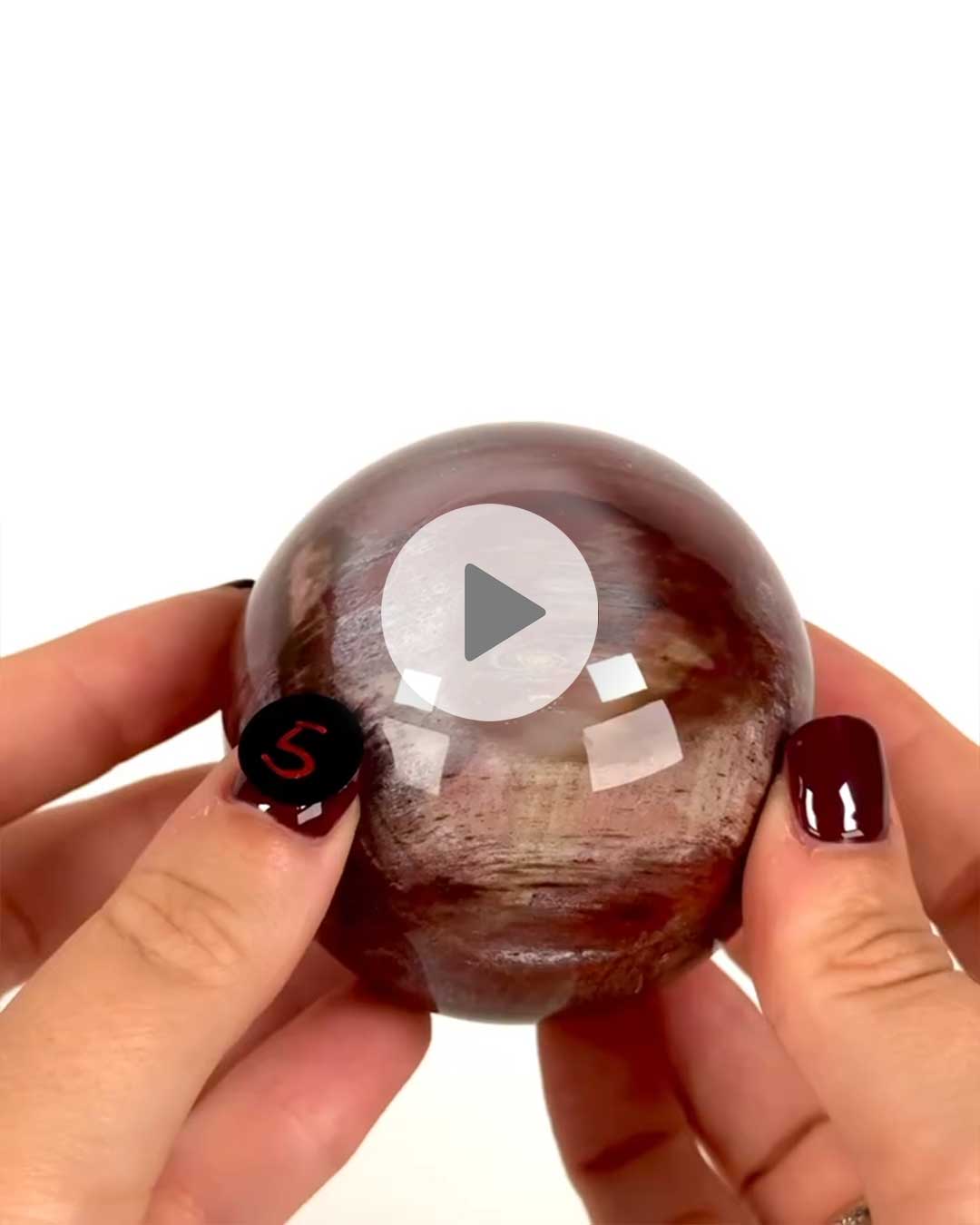 Einzelstueck-Versteinertes-Holz-Kugel-5