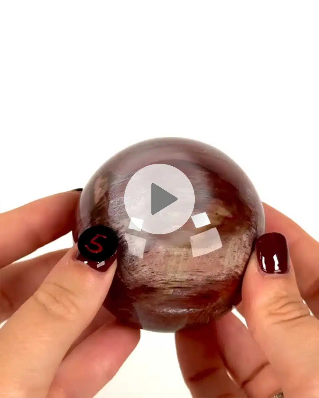 Einzelstueck-Versteinertes-Holz-Kugel-5