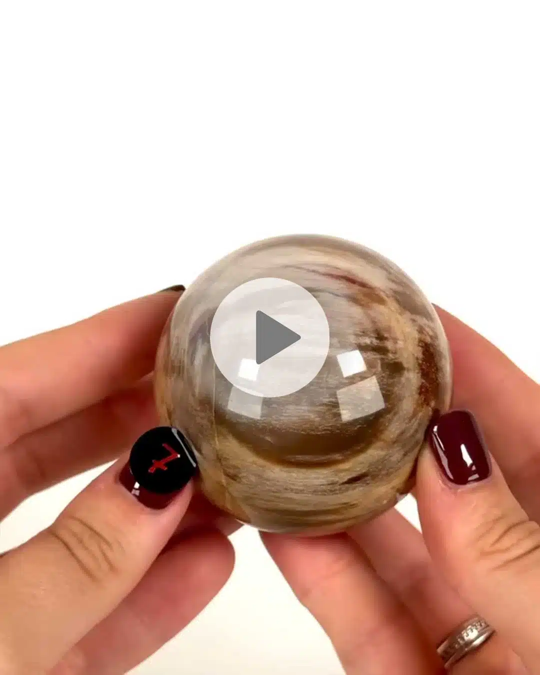 Einzelstueck-Versteinertes-Holz-Kugel-7