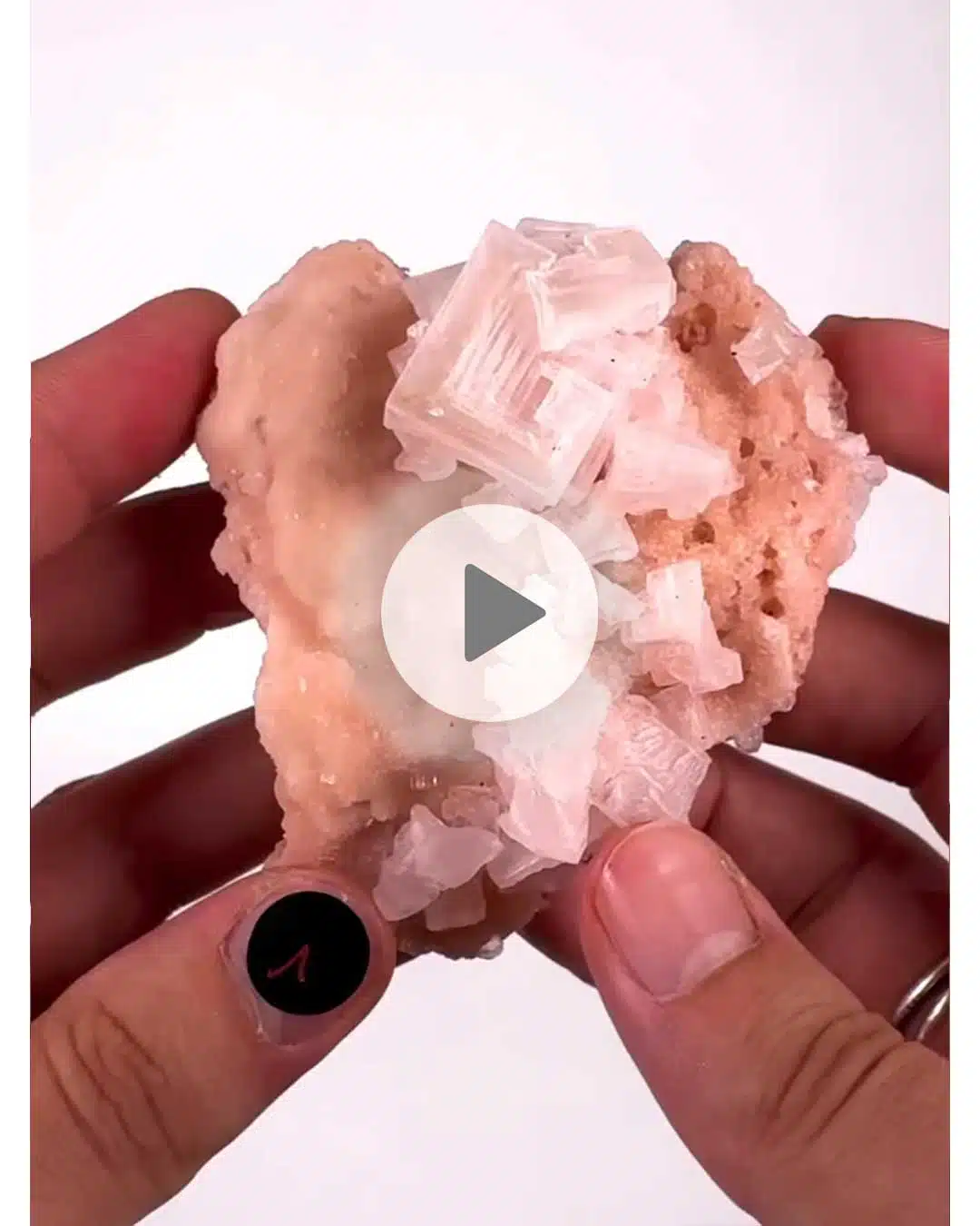 Einzelstueck-rosa-Halit-1