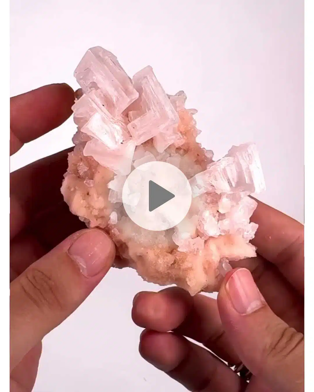 Einzelstueck-rosa-Halit-7