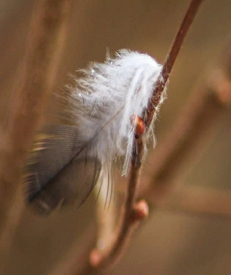 Das Element Luft in der Magie