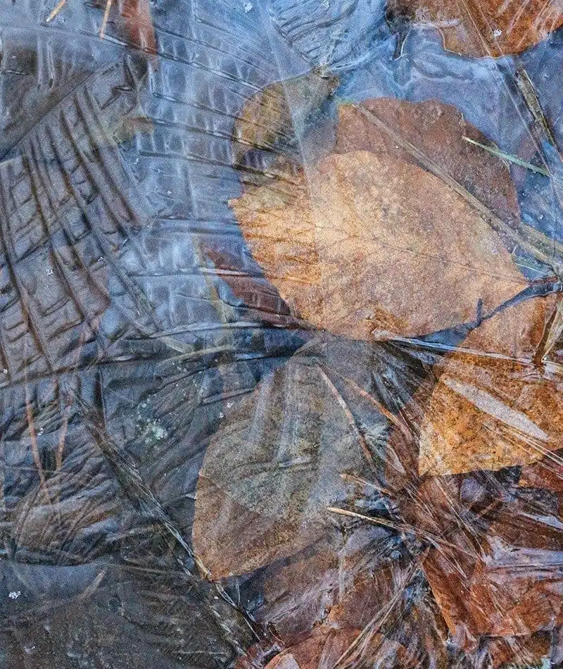 Das Element Wasser in der Magie