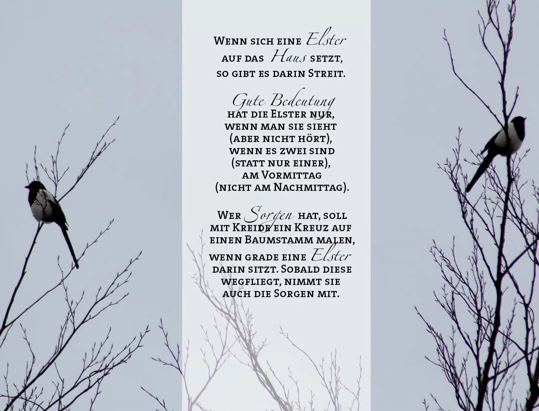 Wenn sich eine Elster auf das Haus setzt, so gibt es darin Streit. Gute Bedeutung hat sie nur, wenn man sie sieht (aber nicht hört), wenn es zwei sind (nicht eine), am Vormittag (nicht am Nachmittag). Wer Sorgen hat, soll mit Kreide ein Kreuz auf einen Baumstamm malen, wenn grade eine Elster darin sitzt. Sobald …