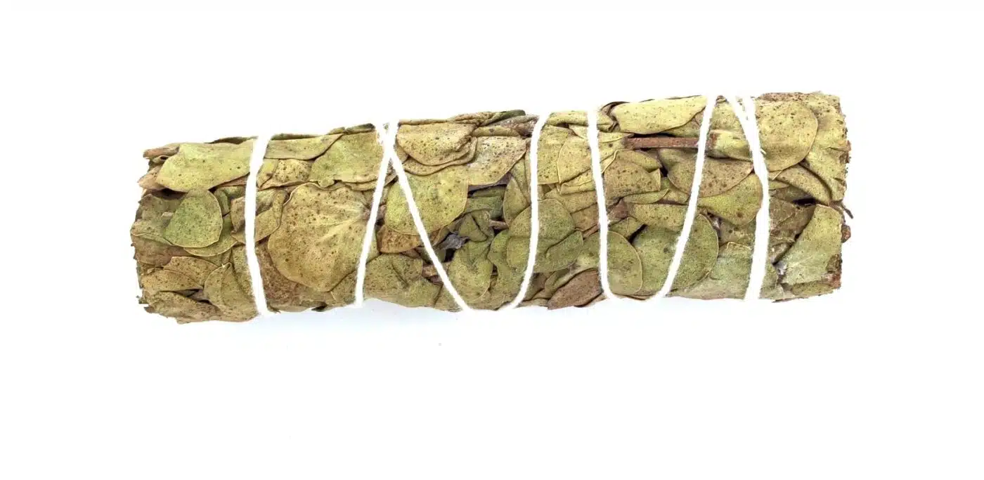 Smudge aus Eukalyptus pur