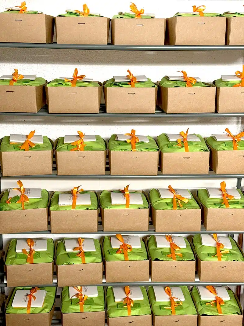 Fast fertige Sets für das Frühlings-Equinox