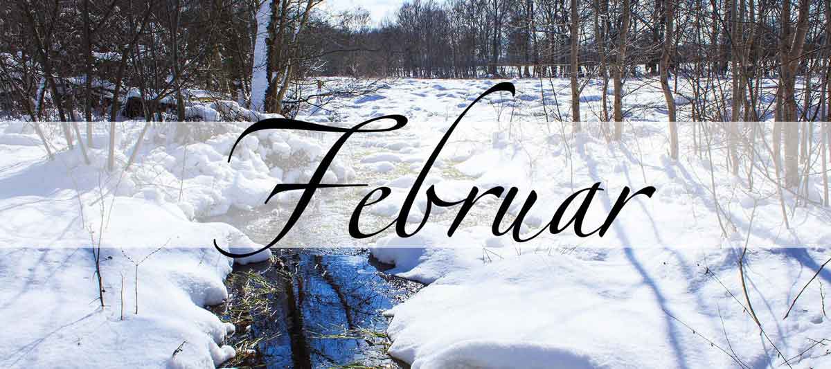 Februar-Magie