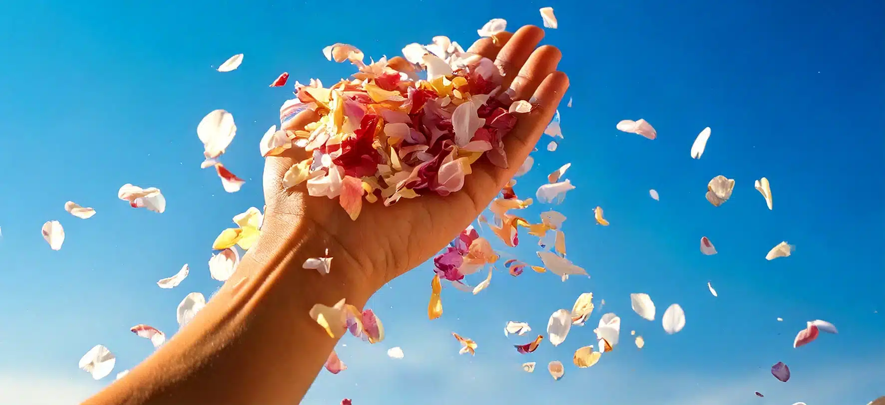 Floralia - Blütenregen